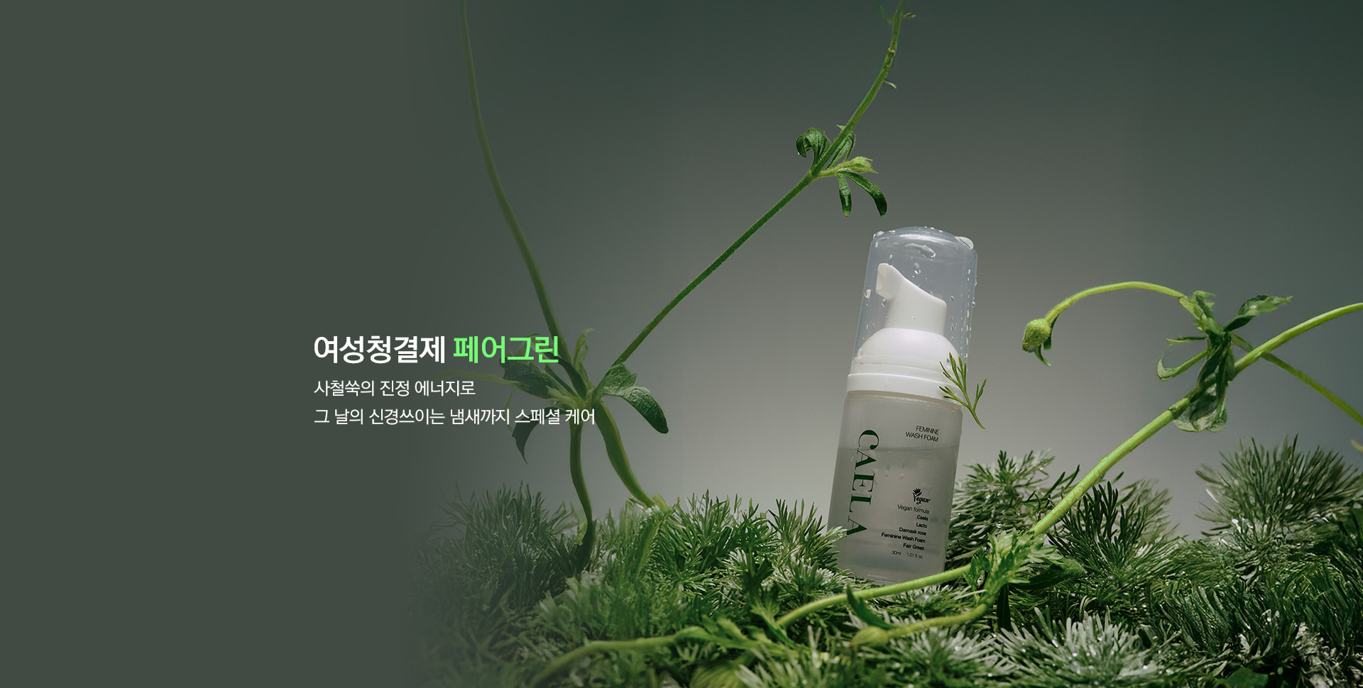 카엘라 페어그린 케어 이미지