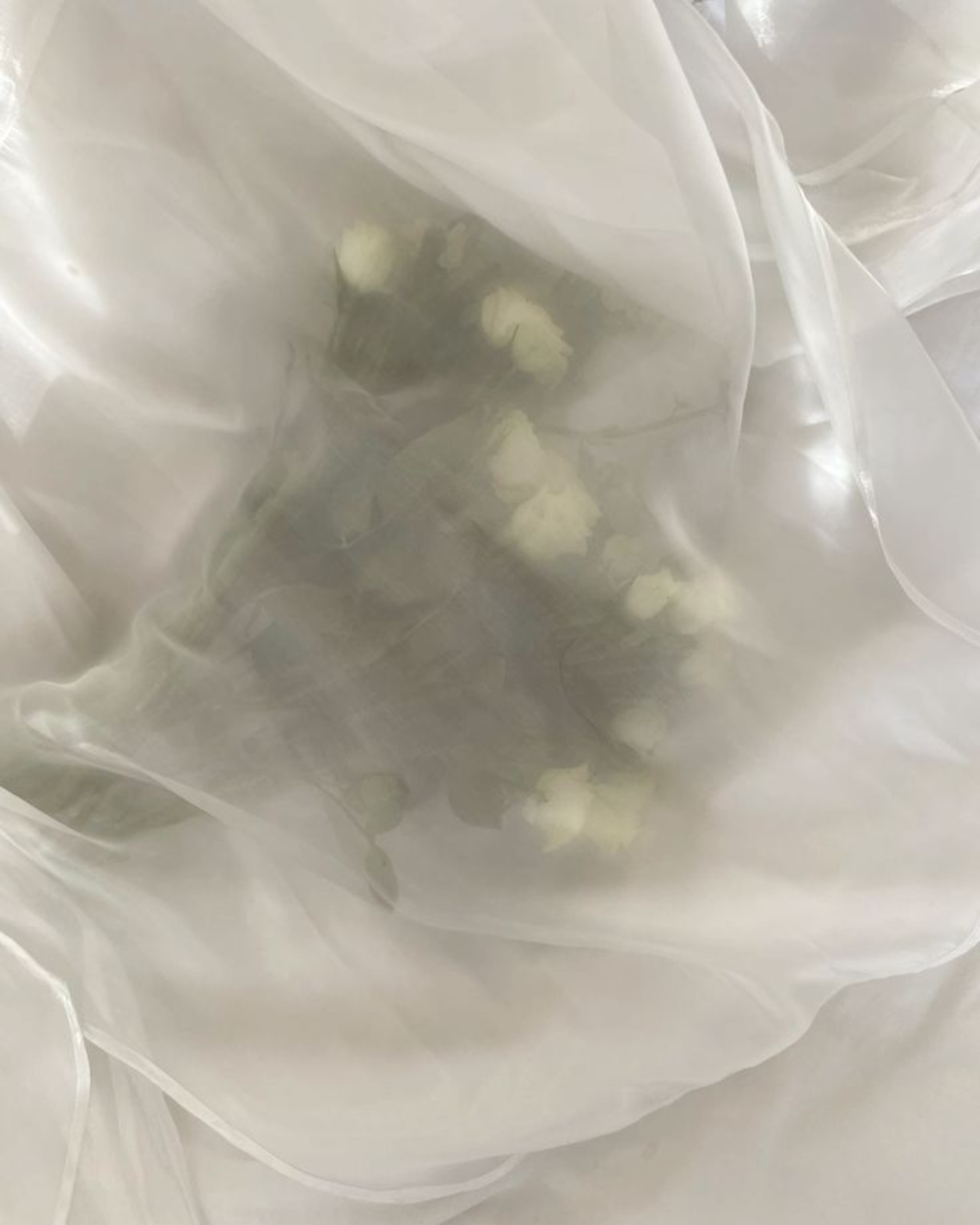 Flowers softly visible through a sheer curtain
